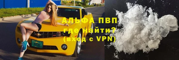PSILOCYBIN Балабаново