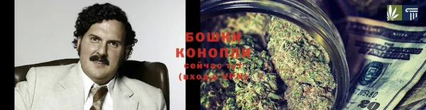PSILOCYBIN Балабаново