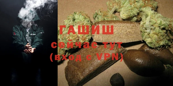 индика Балахна