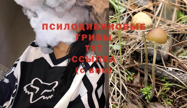 прущие крисы Баксан