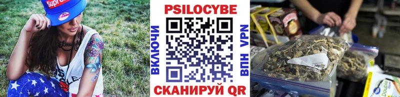 Псилоцибиновые грибы Cubensis  Купить закладки  Новоаннинский 